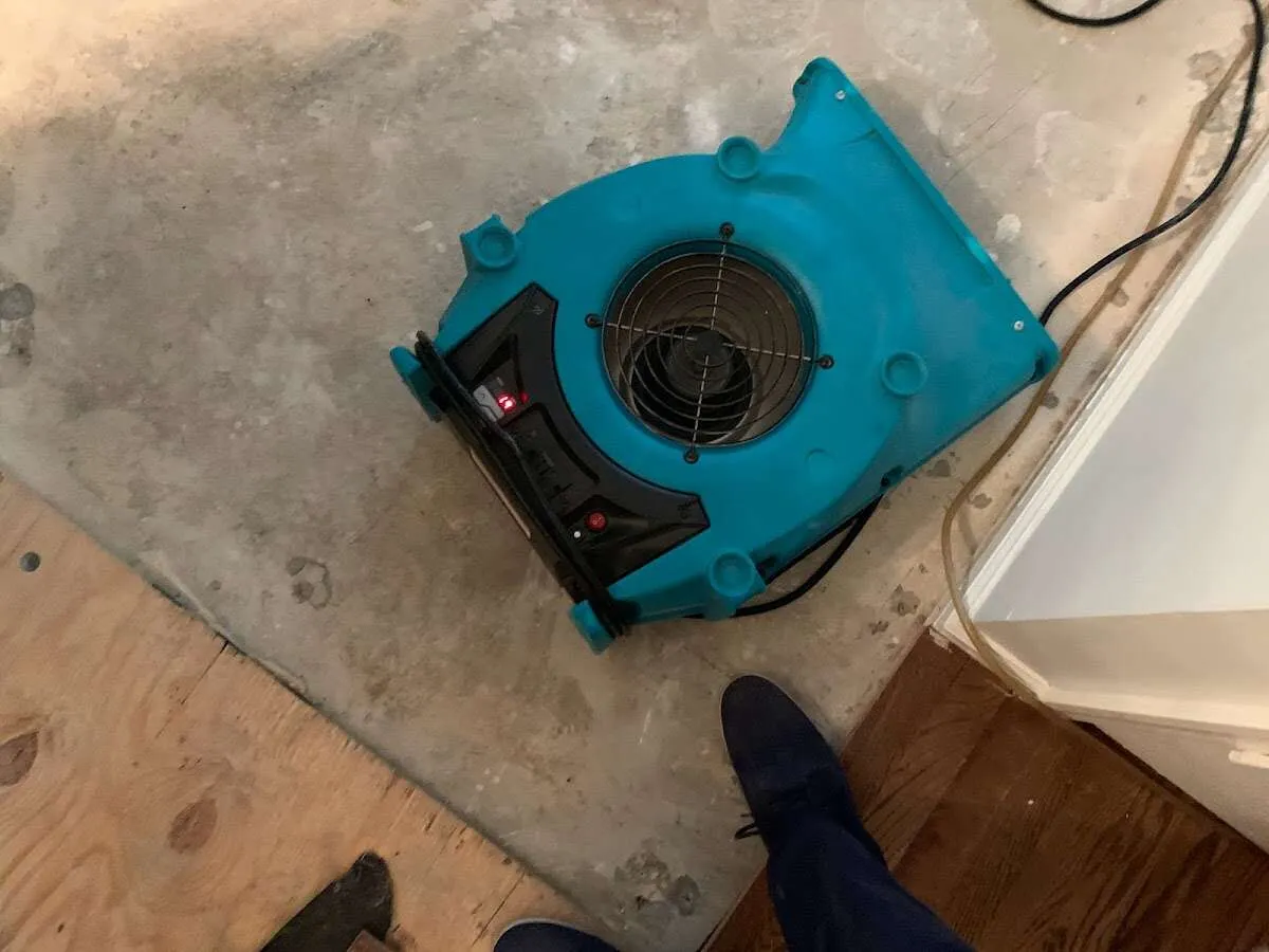 Air mover drying subfloor during Leak Detection & Repair in Point Pleasant Beach